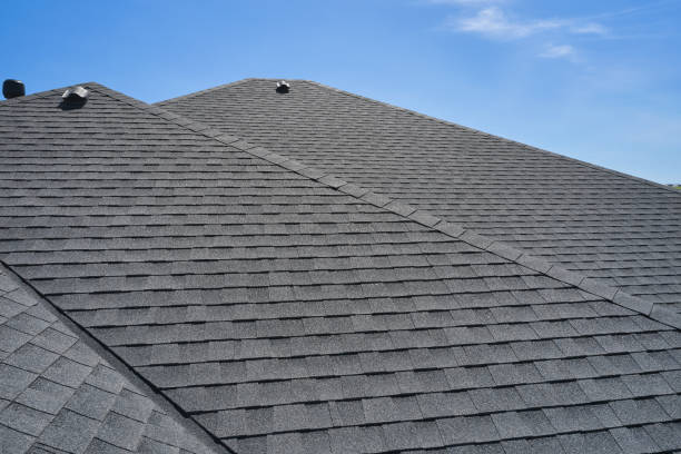 Best Solar Panel Roofing Installation  in Houghton Lake, MI
